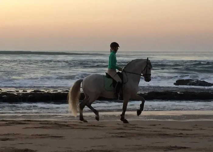 In Mit Grill- Terrasse Und Garten By Interhome 度假居 *